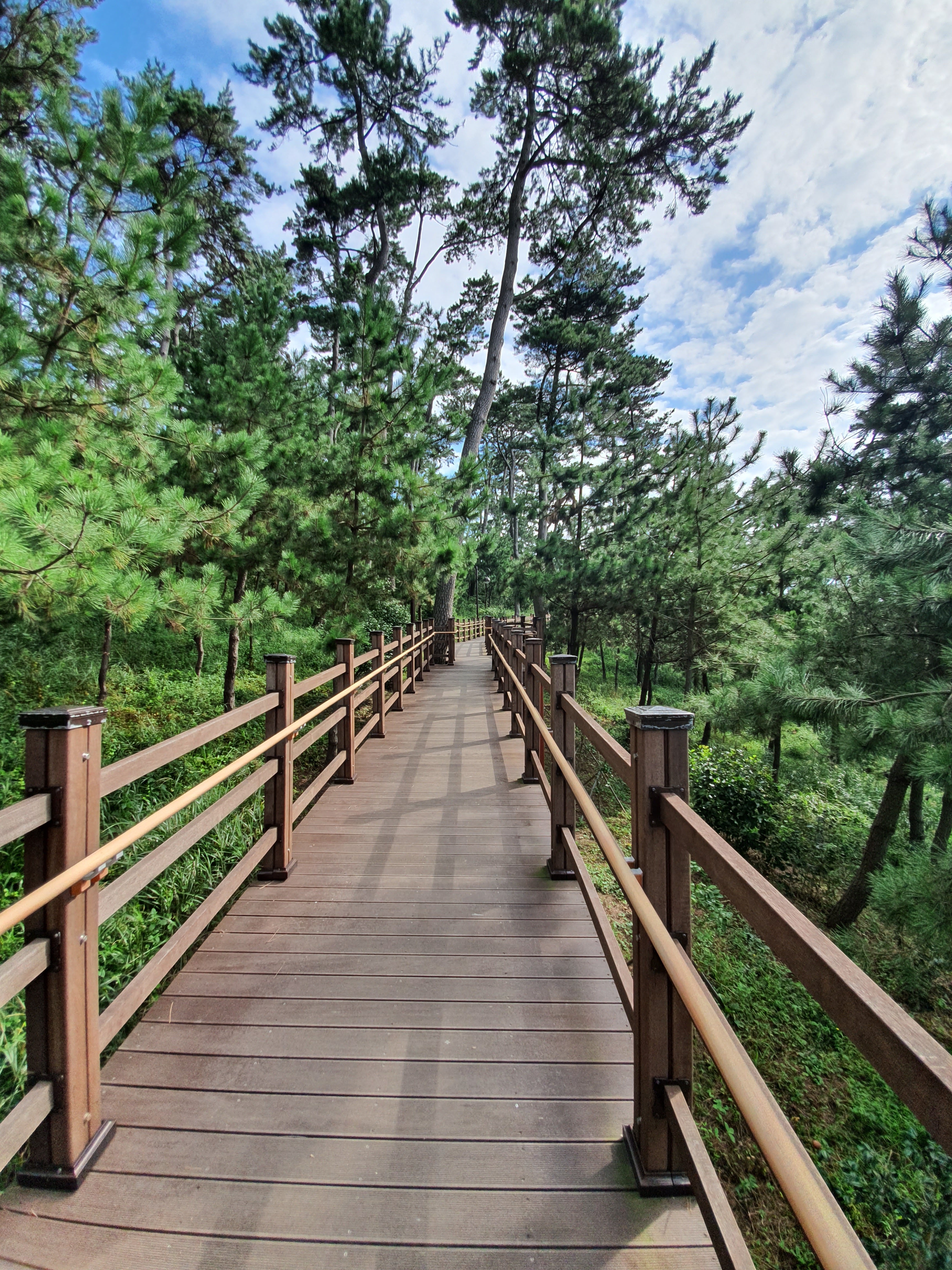 대왕암공원 (Daewangam Park)