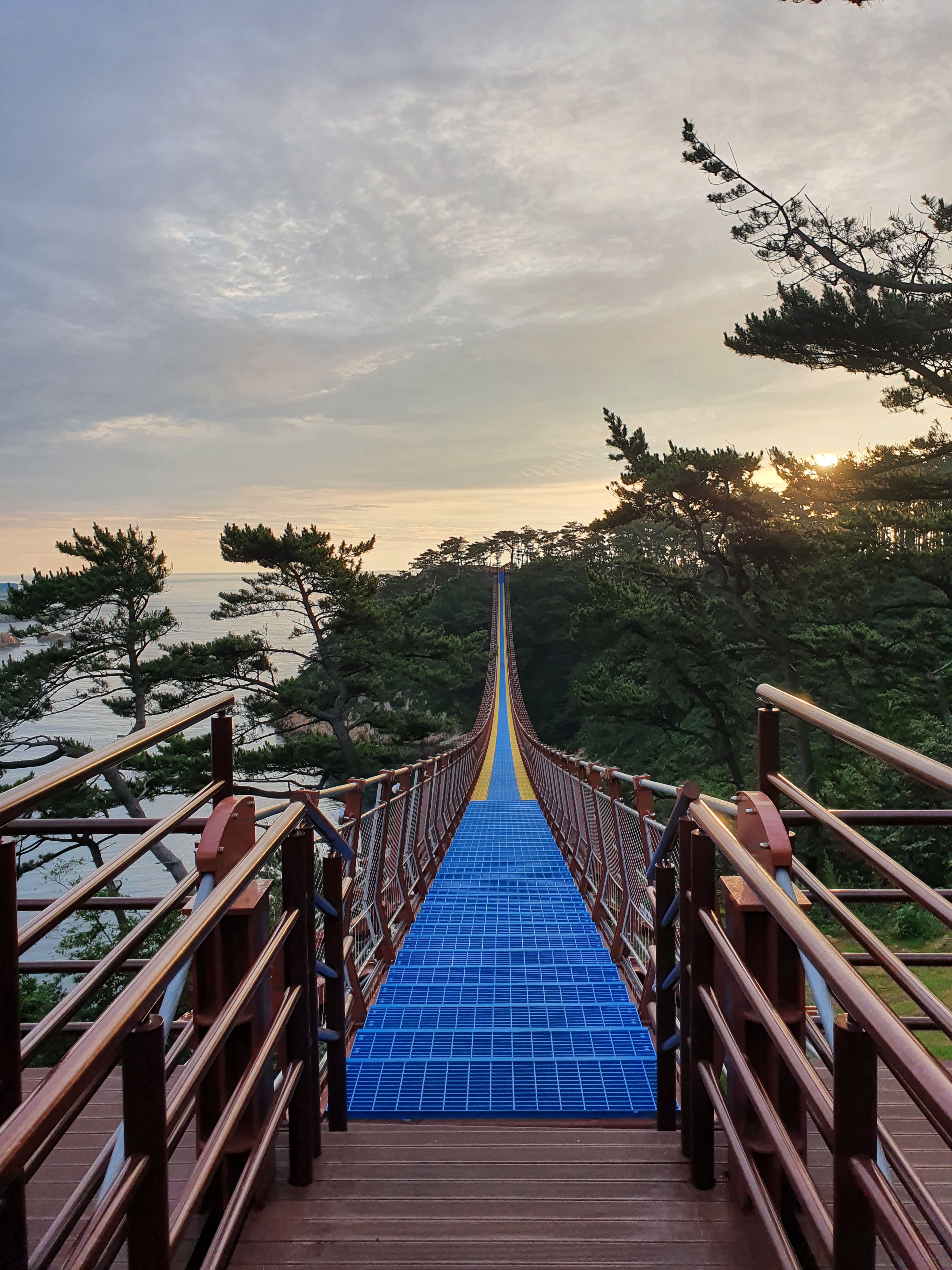 대왕암공원 (Daewangam Park)